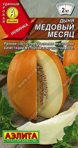 Дыня Медовый месяц
