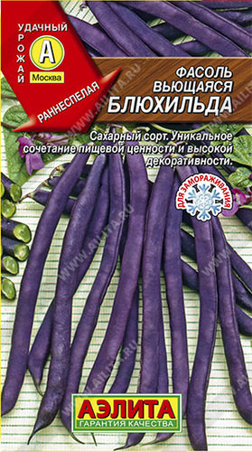 Фасоль Блюхильда вьющаяся
