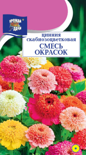 Цинния Скабиозоцветковая, смесь