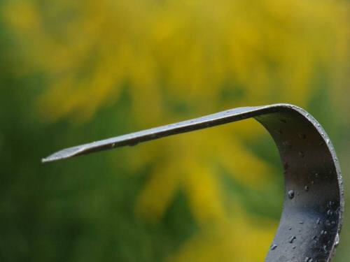 Плоскорез Фокина Малый М Судогорский2