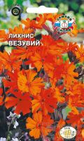 Лихнис Везувий  купить