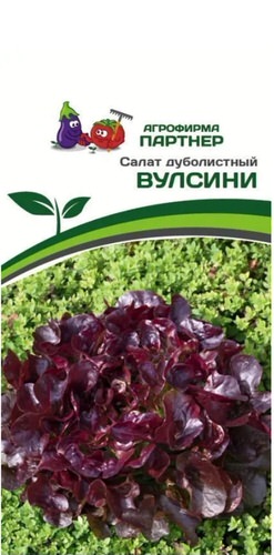 Салат Вулсини дуболистный