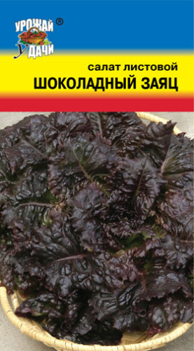 Салат Шоколадный заяц 