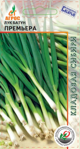 Лук Премьера, батун