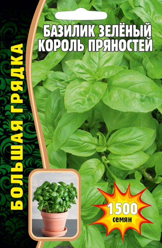 Базилик Король Пряностей зелёный