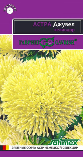 Астра Джувел Хелиодор игольчато-коготковая