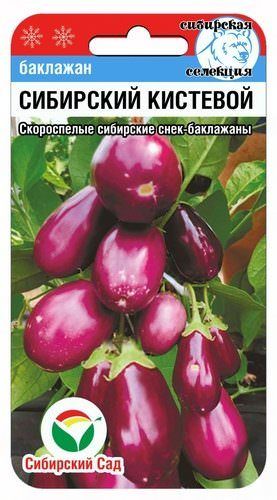 Баклажан Сибирский кистевой 