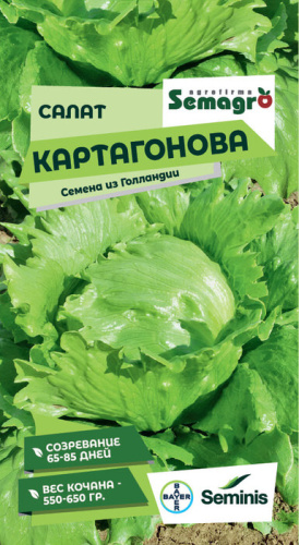 Салат Картаганова