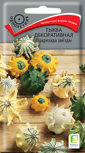 Тыква Шахрезада звезды декоративная