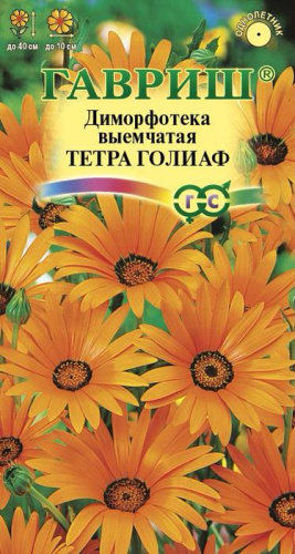 Диморфотека Тетра Голиаф 