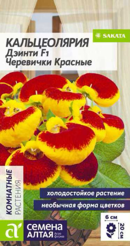 Кальцеолярия Дэинти Черевички красные 