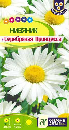 Нивяник Серебряная принцесса