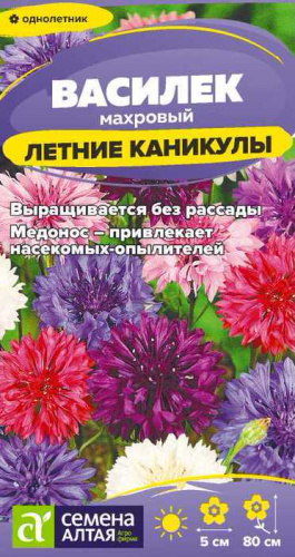 Василек Летние Каникулы махр. смесь 