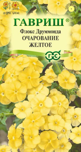 Флокс Очарование желтое друммонди