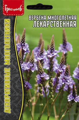 Вербена Лекарственная многолетняя