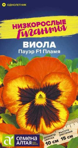 Виола Пауэр Пламя F1 Низкорослые гиганты