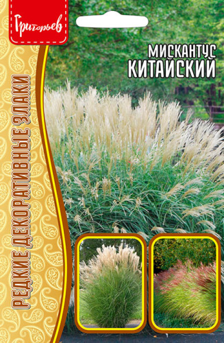 Мискантус Китайский