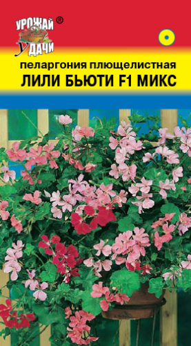 Пеларгония плющелистная Лили Бьюти F1