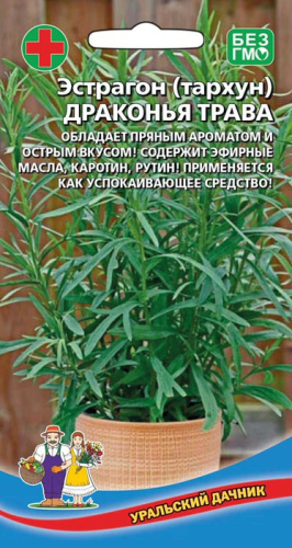 Эстрагон Драконья трава (тархун)