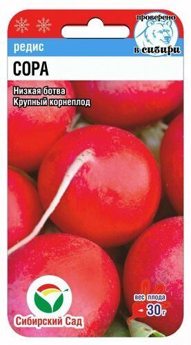 Редис Сора F1