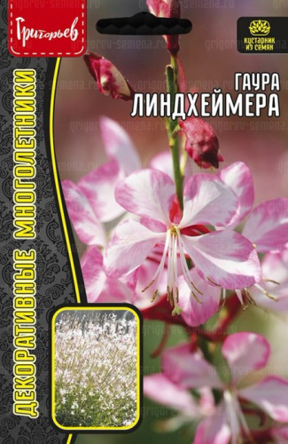 Гаура Линдхеймера