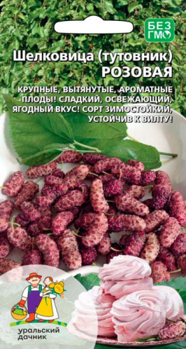 Шелковица (тутовник) Розовая