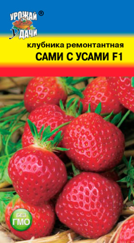 Клубника Сами с Усами F1 ремонтантная ампельная