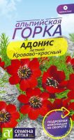 Адонис летний кроваво- красный  купить