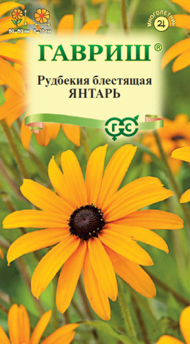 Рудбекия Янтарь 