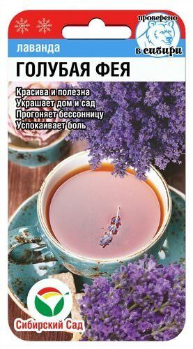 Лаванда Голубая фея 