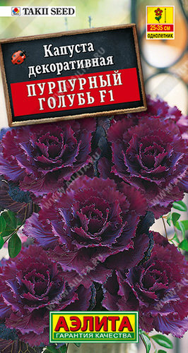 Капуста декоративная Пурпурный голубь F1 