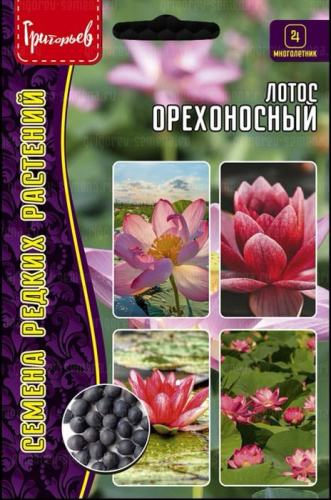 Лотос Орехоносный