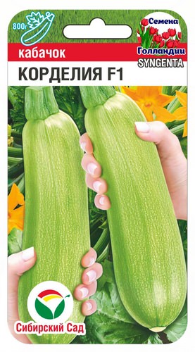 Кабачок Корделия