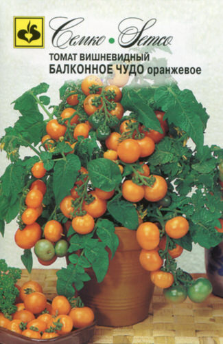 Томат Балконное чудо Оранжевое 