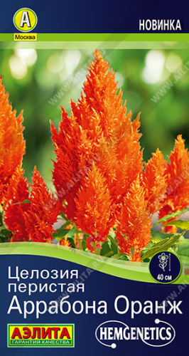 Целозия перистая Аррабона оранж