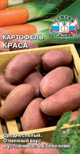 Картофель (семена) Краса 