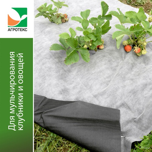 Агротекс 80 бело-черный мульчирующий 1,6*100м