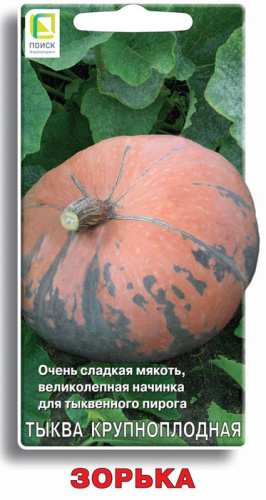 Тыква Зорька крупноплодная