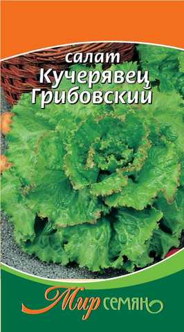 Салат Кучерявец Грибовский 1г