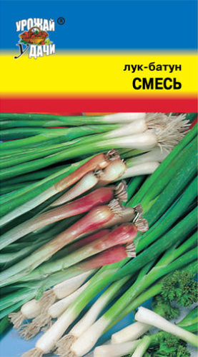 Лук Смесь Сортов, батун