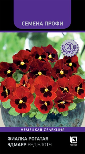 Фиалка рогатая Эдмаер Ред Блотч
