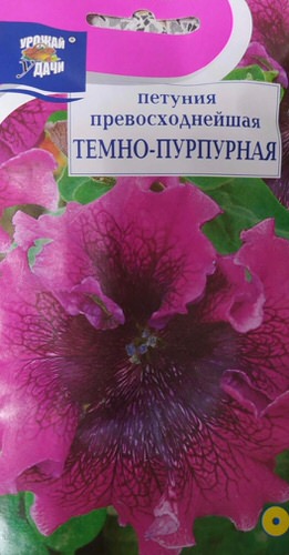 Петуния Тёмно-пурпурная 