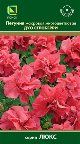 Петуния Дуо Строберри