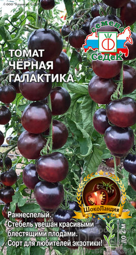 Томат Черная Галактика 