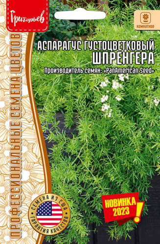 Аспарагус Шпренгера густоцветковый