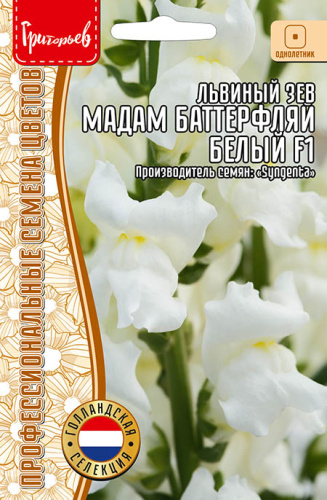 Львиный Зев Мадам Баттерфляй Белый F1