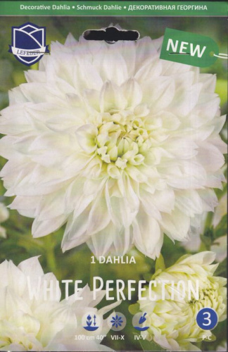 Георгина декоративная White Perfection (1х1шт)