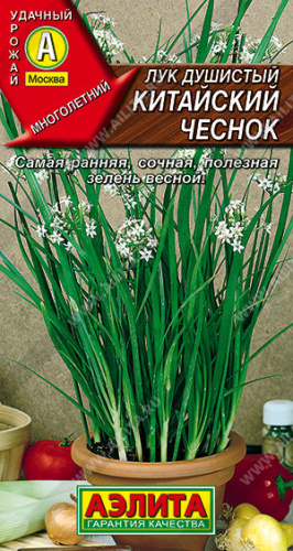 Лук (душистый) Китайский чеснок