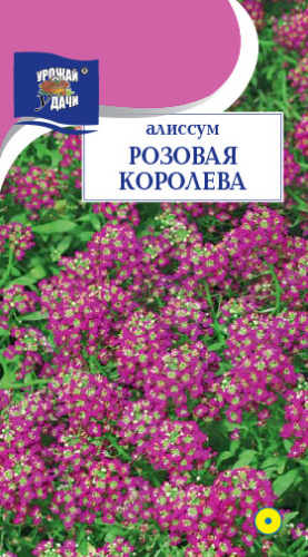 Алиссум Розовая Королева 