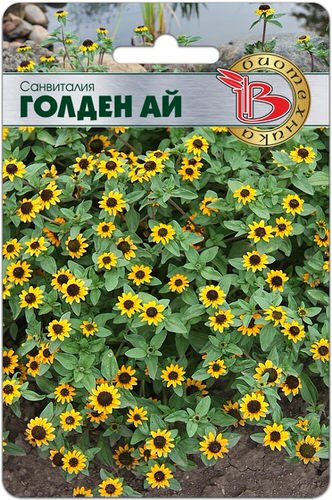 Санвиталия Голден Ай